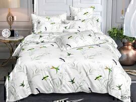 КПБ евро поплин Pure Cotton PC Клео <PC-210>